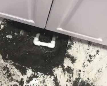 清流查漏水哪家好